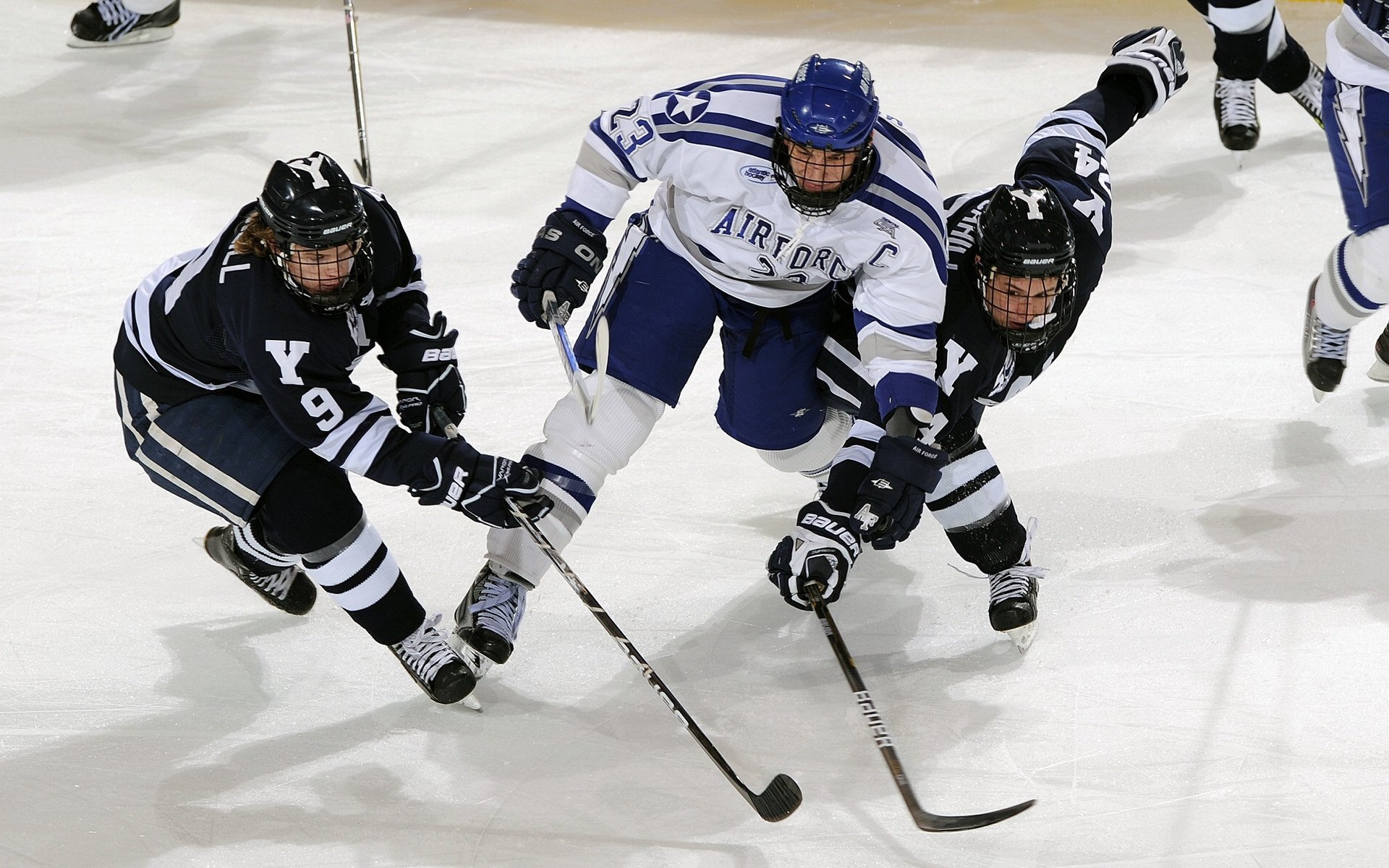 开云体育在线入口-体育场馆智能化管理系统上线运行,体育场馆智能化系统包含哪些