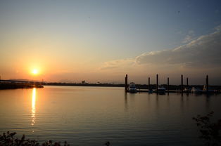 开云体育官网在线-千帆竞发,轻艇马拉松点亮湖滨赛场,赛艇马拉松多少公里